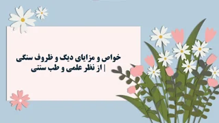 خواص و مزایای دیگ و ظروف سنگی | از نظر علمی و طب سنتی